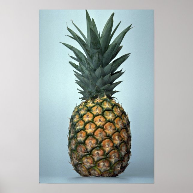 Köstliche Ananas Poster (Vorne)