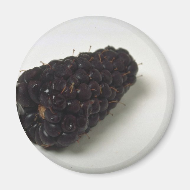 Köstliche BlackBerry Magnet (Vorne)