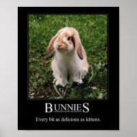 Köstliche Bunnies! Poster