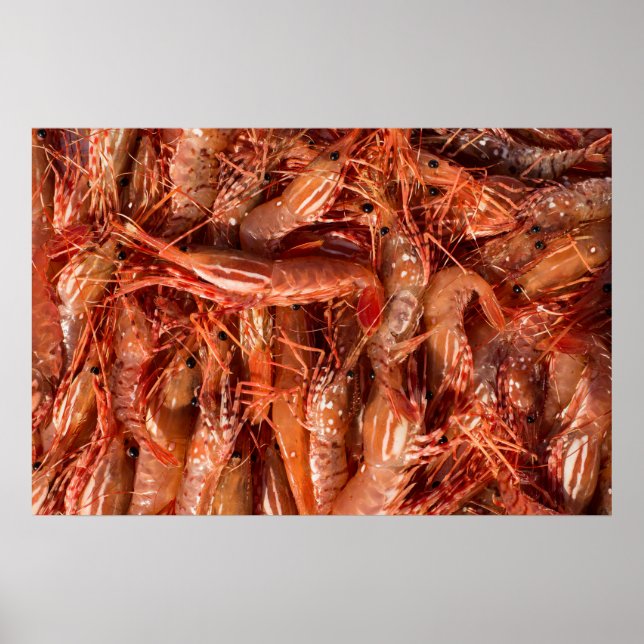 Köstliche Garnelen Poster (Vorne)