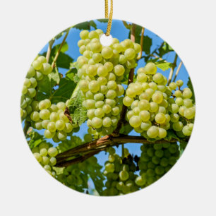 Köstliche grüne Traubenbäume und blauer Himmel Keramik Ornament