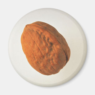 Köstliche Walnuss Magnet