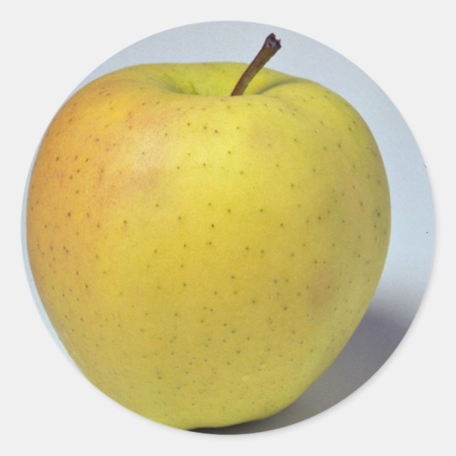 Köstlicher goldener Apfel Runder Aufkleber (Vorderseite)