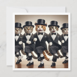 Kostüm-Party, Stich-Tanz, Tanz-Party, Katze Einladung