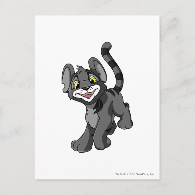 Kougra Shadow Postkarte (Vorderseite)