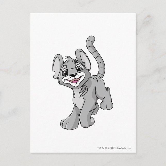 Kougra Silver Postkarte (Vorderseite)