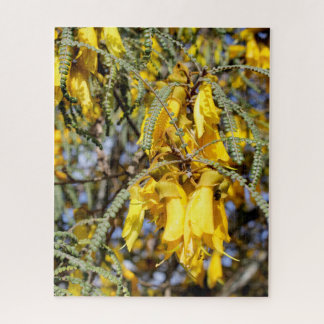 Kowhai-Blumen