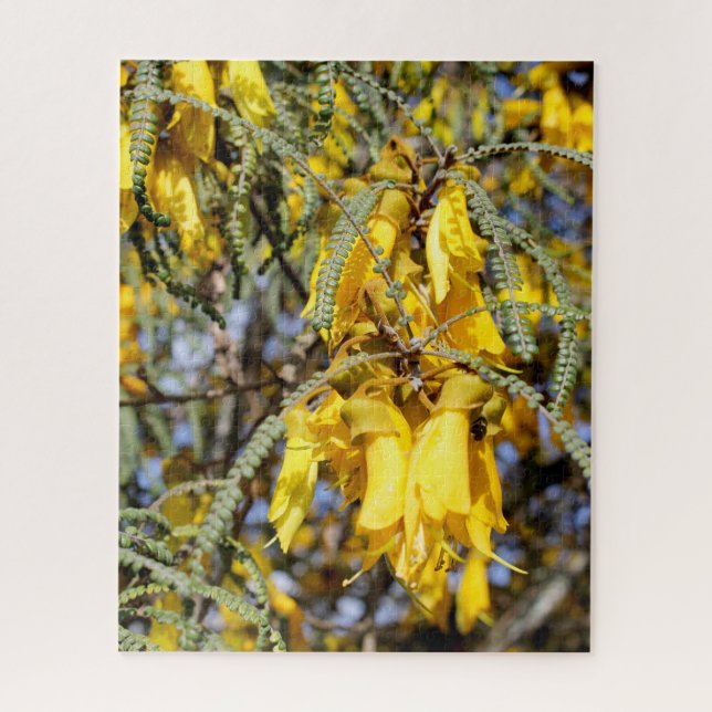 Kowhai-Blumen (Vertikal)