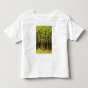 Koya Sugi Zedern-Bäume Kleinkind T-shirt