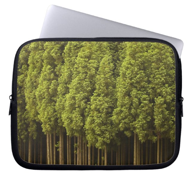 Koya Sugi Zedern-Bäume Laptopschutzhülle (Vorderseite)