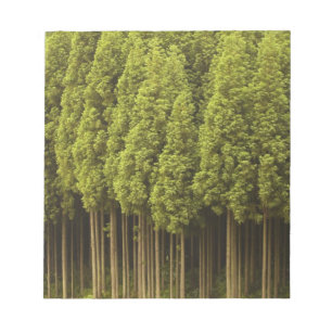 Koya Sugi Zedern-Bäume Notizblock