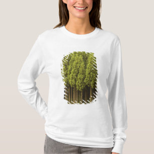 Koya Sugi Zedern-Bäume T-Shirt