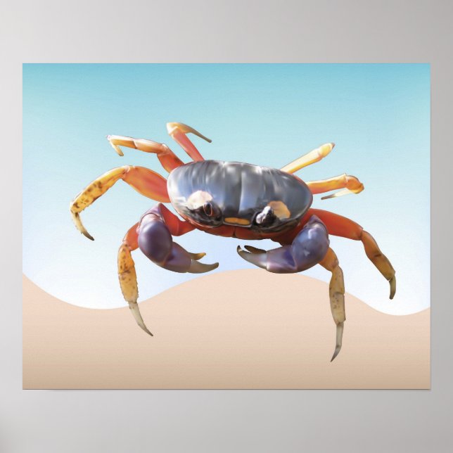 Krabbe am Strand Poster (Vorne)