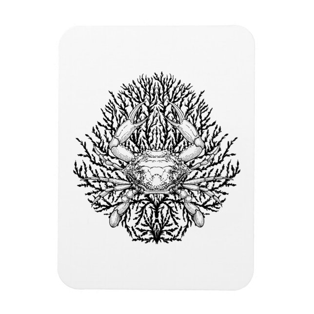 Krabbe Magnet (Vertikal)