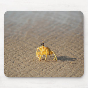 Krabbe, Meer, Ozean Mousepad