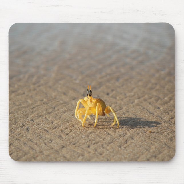 Krabbe, Meer, Ozean Mousepad (Vorne)