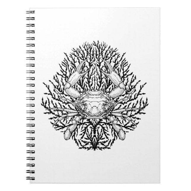 Krabbe Notizblock (Vorderseite)