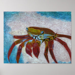 Krabbe Poster