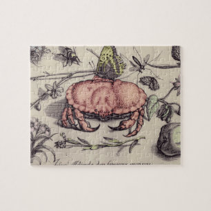 Krabben-Botanik-Insekt-Blumen-Illustration