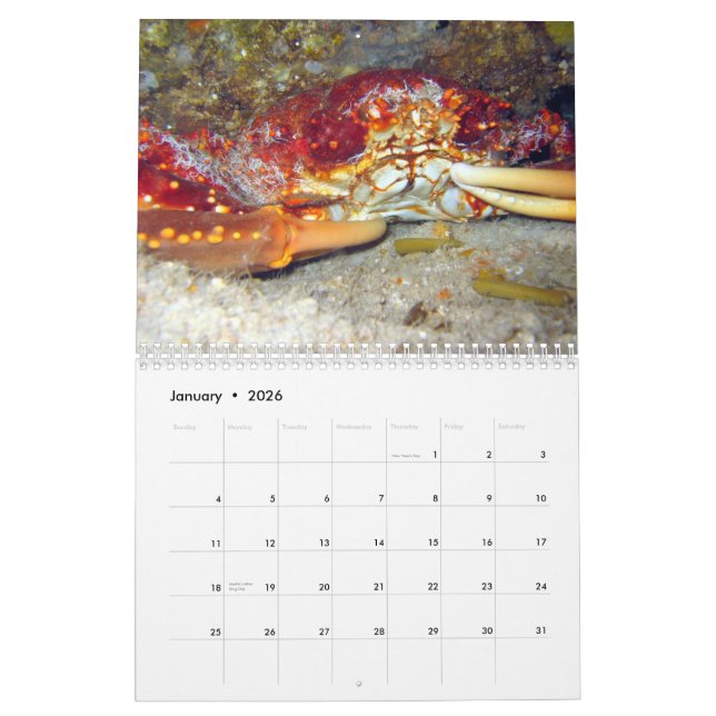 Krabben (Kalender 2010) Kalender (Jan 2026)