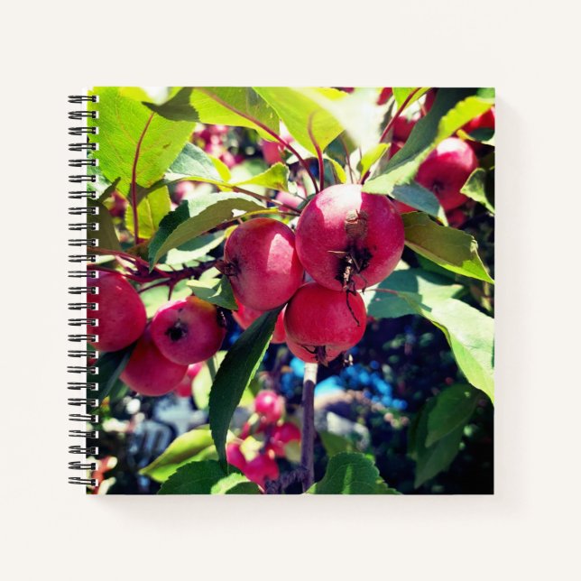 Krabbenäpfel auf einem Baum Notizbuch (Vorderseite)