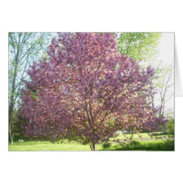 Krabbenapfel im Blut