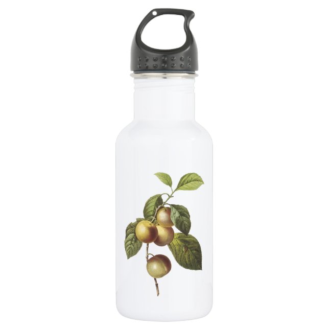 Krabbenapfel (Malus sp.) von Redouté Trinkflasche (Vorderseite)