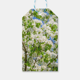 Krabbenapfelblüte Geschenkanhänger