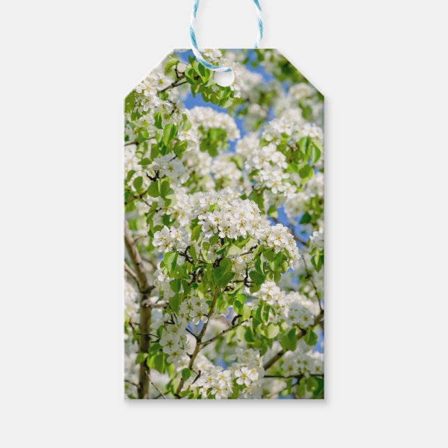 Krabbenapfelblüte Geschenkanhänger (Vorderseite)
