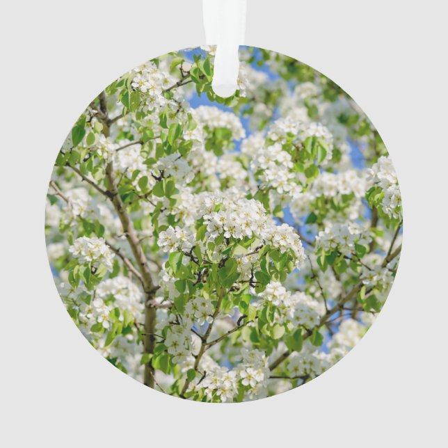 Krabbenapfelblüte Ornament (Rückseite)