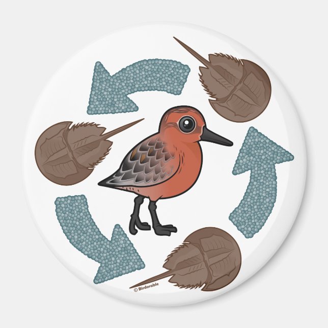 Krabbenknochen Magnet (Vorne)