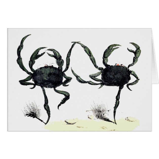 Krabbentango tanzen niedliche Vintage Sommerkrebse (Vorderseite (Horizontal))