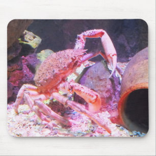 Krabbentier Mousepad