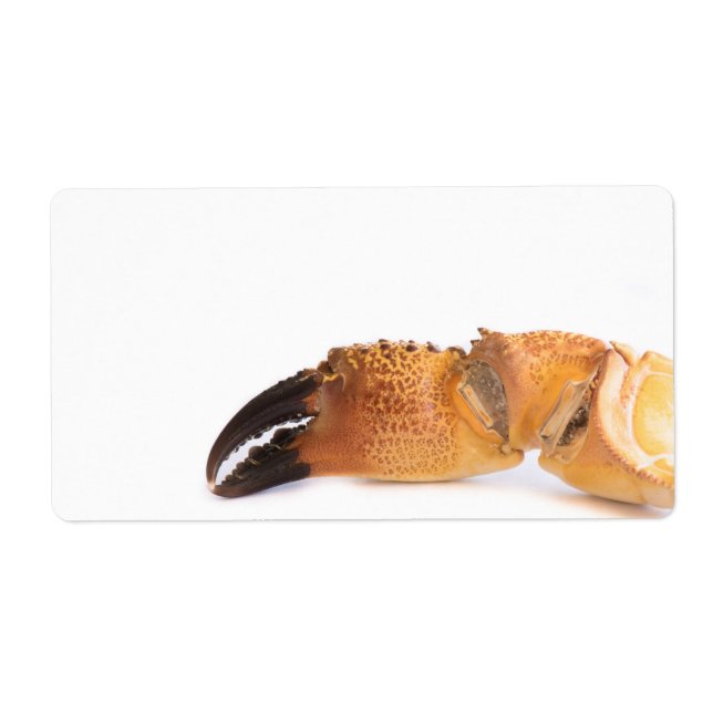 Krabbenverkleidung (Vorne)