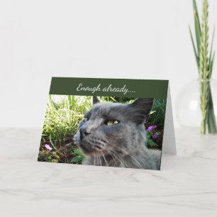 Krabbige Katze mit lustigem Gesichtsausdruck Grußk Karte