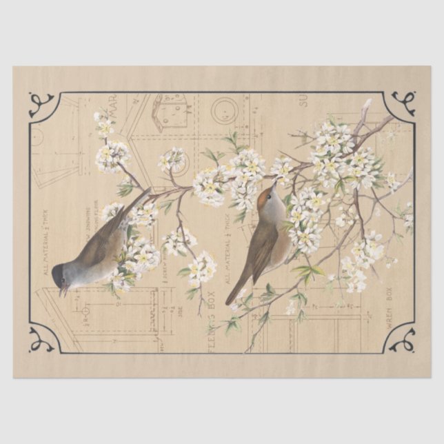 Kraft Warbler Bird Birdhouse Border Decoupage Tan Seidenpapier (Vorderseite)