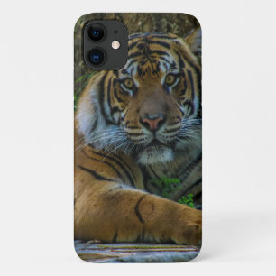 kräftig Case-Mate iPhone hülle