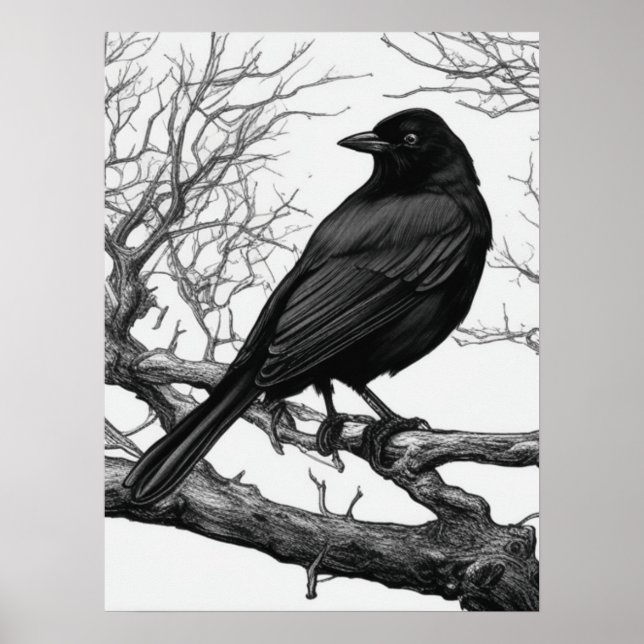 Krähe auf kahlen Winterzweigen sitzend Poster (Vorne)