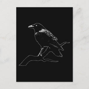 Krähe (für dunkle Hintergründe) Postkarte