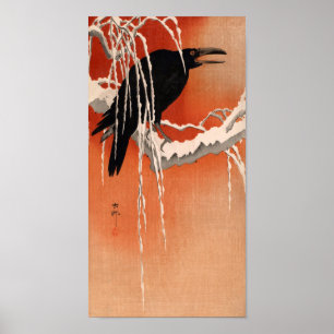Krähe Poster