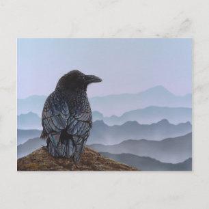 Krähe Postkarte