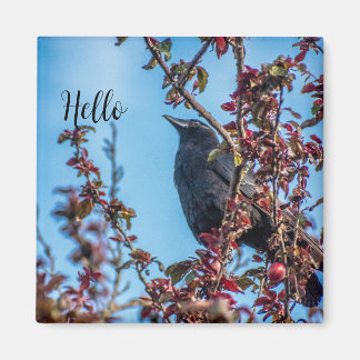 Krähe sagt Hallo  Magnet