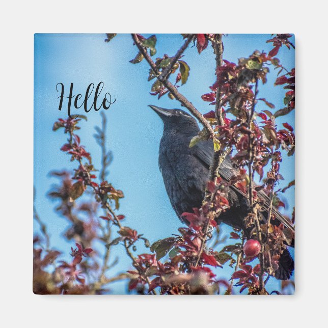 Krähe sagt Hallo  Magnet (Vorne)
