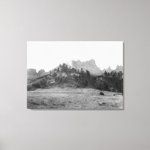 KräheButte nahe Fotografie ft. Robinson Leinwanddruck