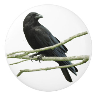 Krähen-Fach-Griff Keramikknauf
