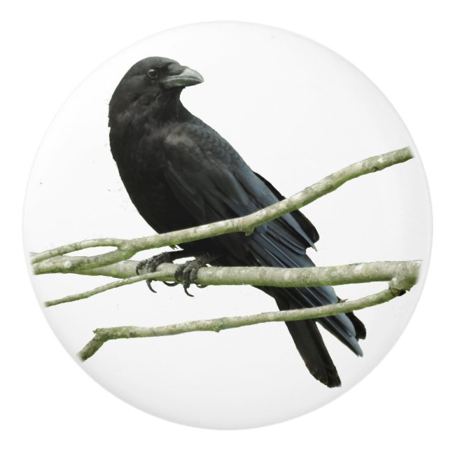 Krähen-Fach-Griff Keramikknauf (Vorderseite)
