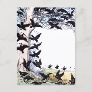 Krähen Feiertagspostkarte