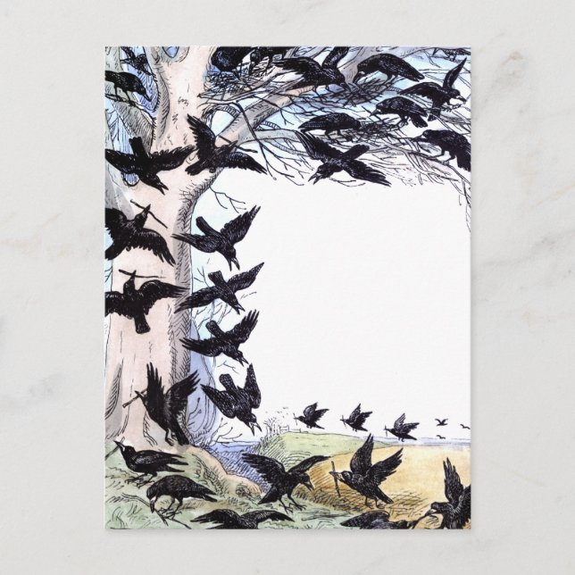 Krähen Feiertagspostkarte (Vorderseite)