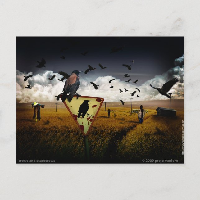 Krähen Postkarte (Vorderseite)