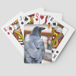 Krähen Spielkarten